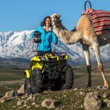 Camel ride and quad biking