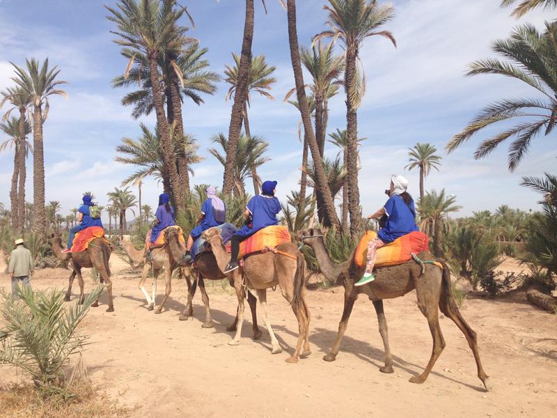 https://ksstravelsmorocco.com/wp-content/uploads/2018/11/Camel-ride-Marrakech-Morocco-Camel-Trekking.jpg