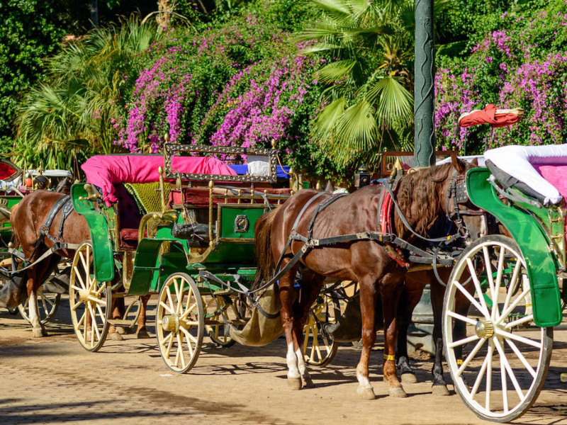 https://ksstravelsmorocco.com/wp-content/uploads/2023/02/Marrakech-by-Caleche.png