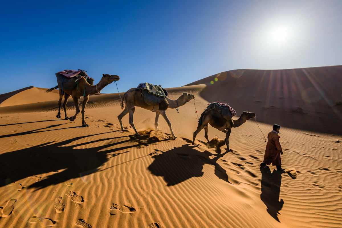 KSS Travels Morocco